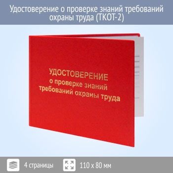 ����� ������������� � �������� ������ ���������� ������ ����� (����-2)